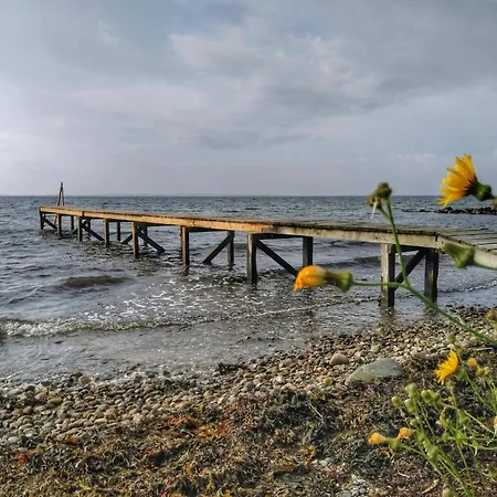 6 Person In Ronde-by Traum